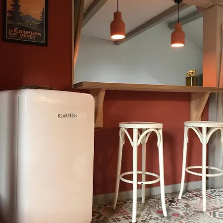 アパート Douillet, Plein Centre ル・シャンボン・シュル・リニョン